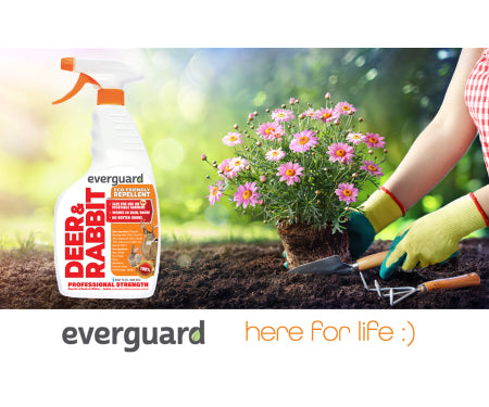 Everguard Deer and Rabbit Repellent 32 Oz. Rtu Spray Bottle