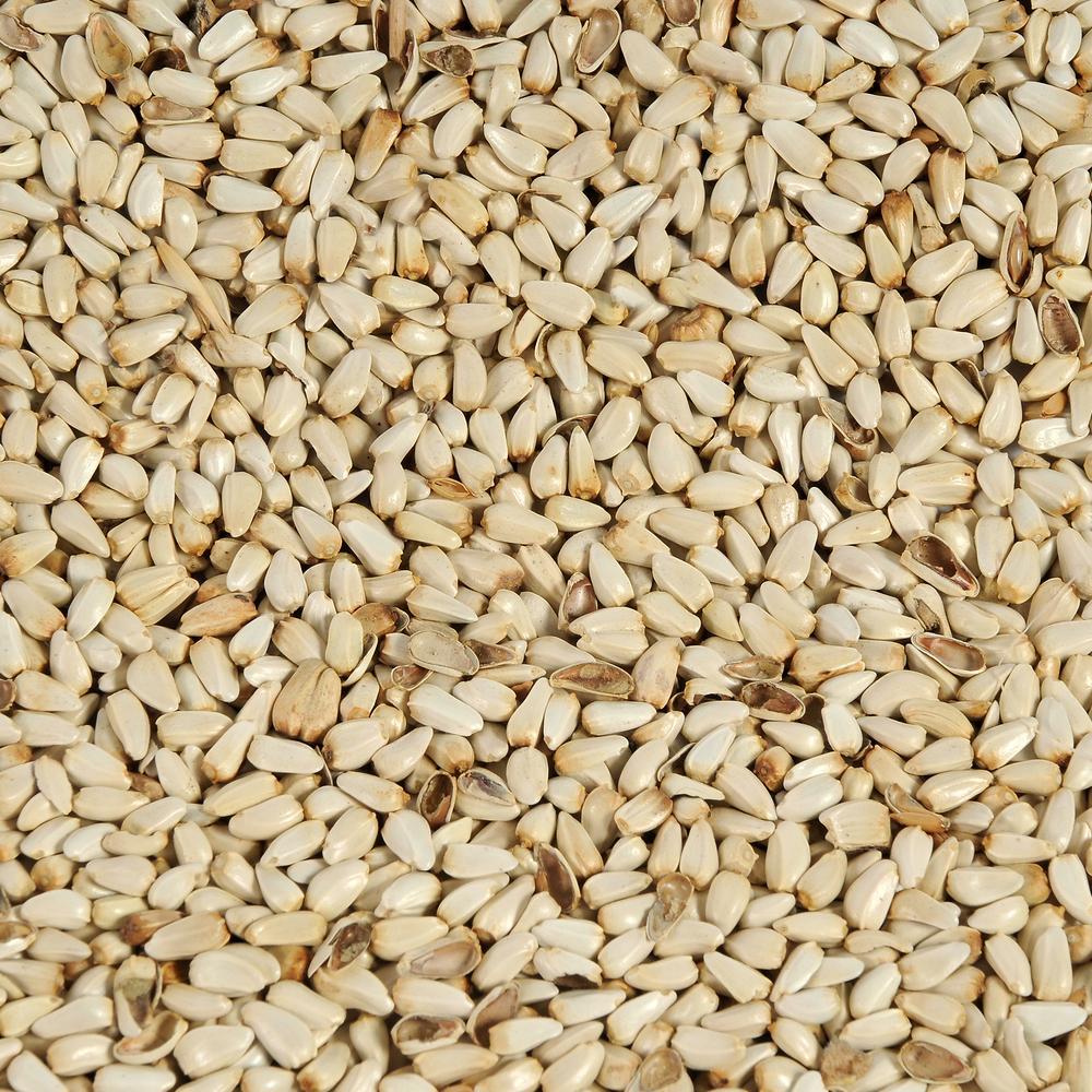 Safflower Bird Seed, 4lb