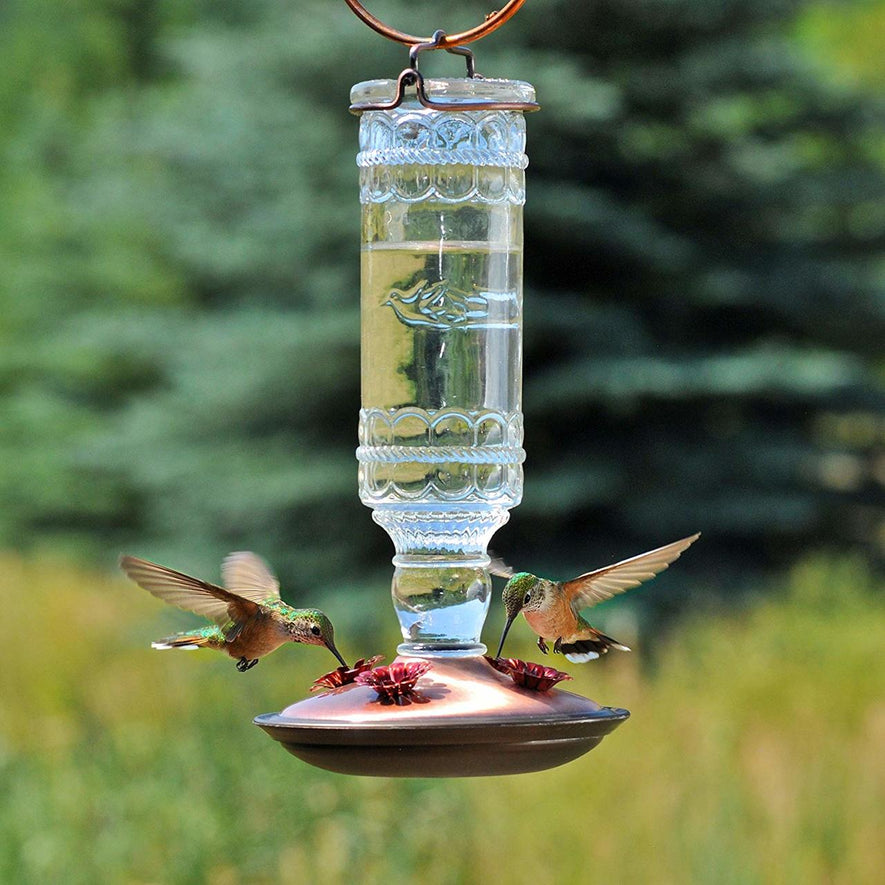 Antique Bottle 10-Ounce Glass Hummingbird Feeder, Clear