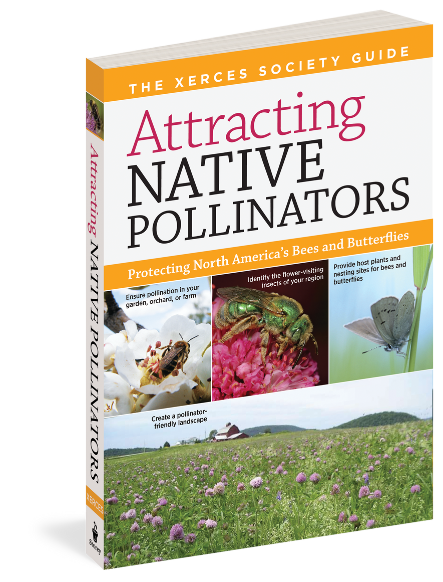 Attracting Native Pollinators