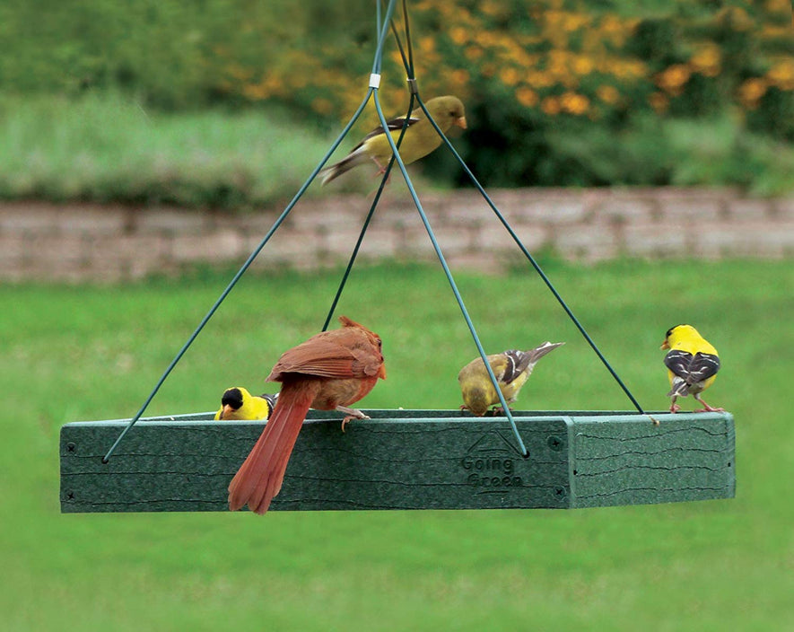 Audubon Going Green Platform Feeder