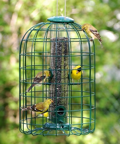 Audubon Squirrel-Proof Caged Seed Feeder