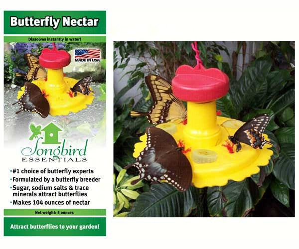 Butterfly Feeder / Nectar Combo