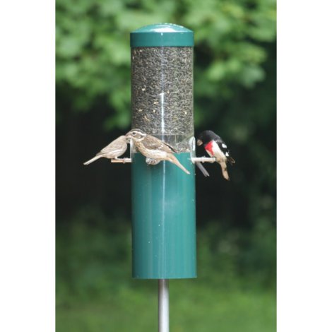 Classic Bird Feeder with Baffle & Pole