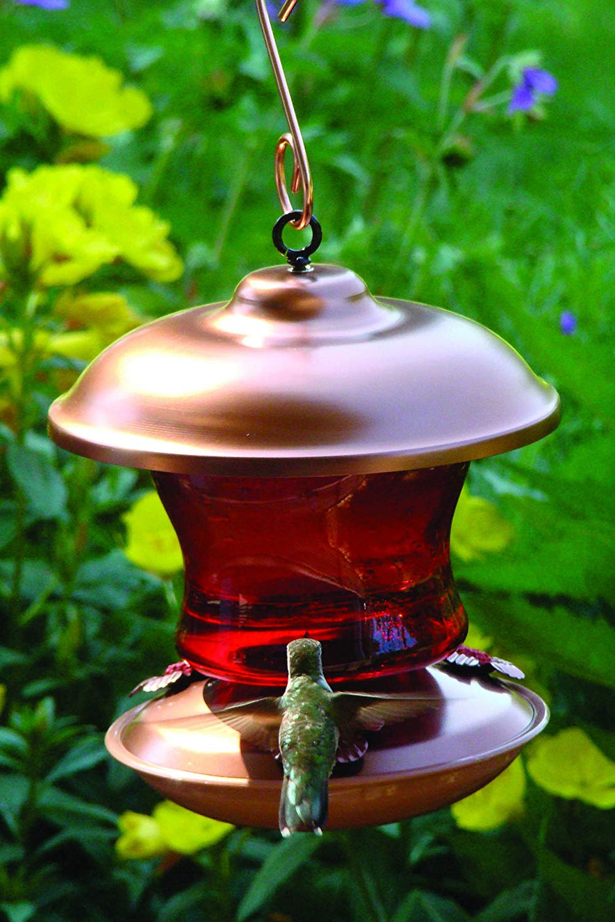 Copper Color Hummingbird Feeder, Ruby Glass