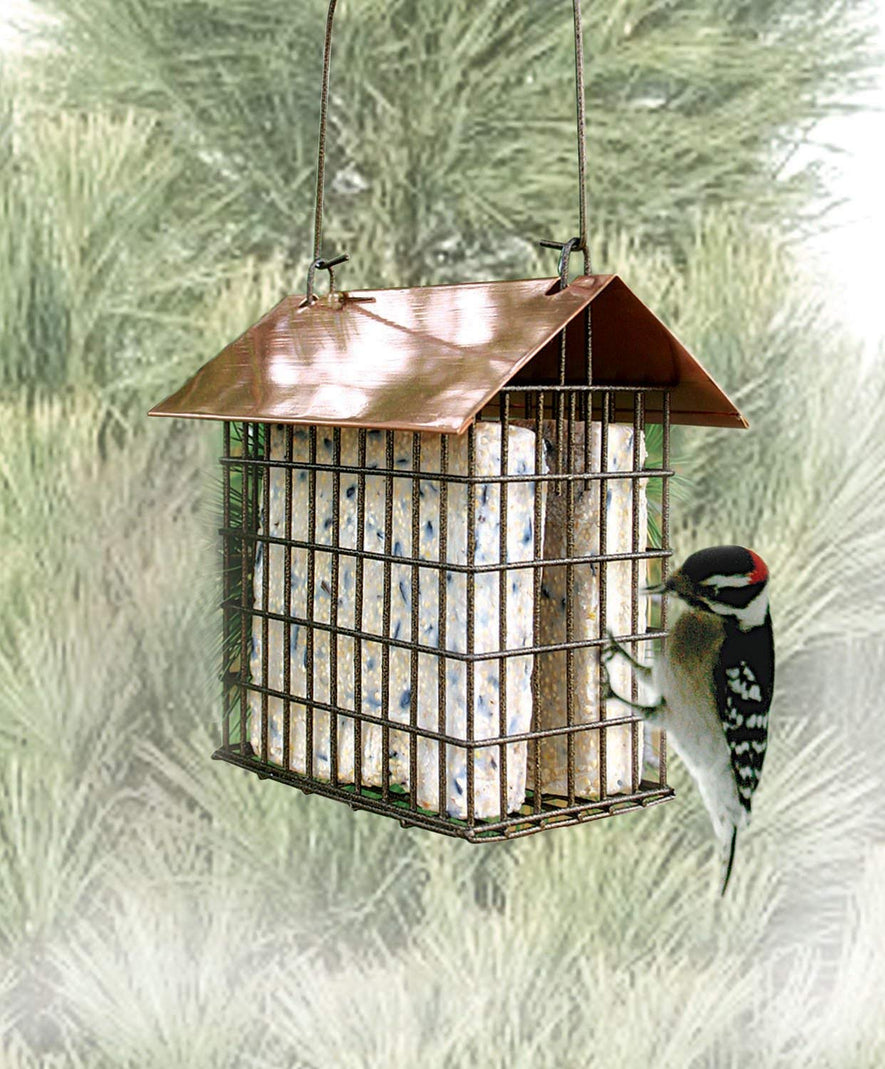 Coppertop Double Suet Cage Feeder