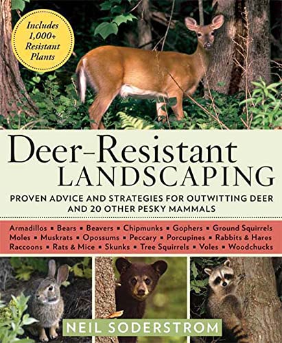 Deer-Resistant Landscaping