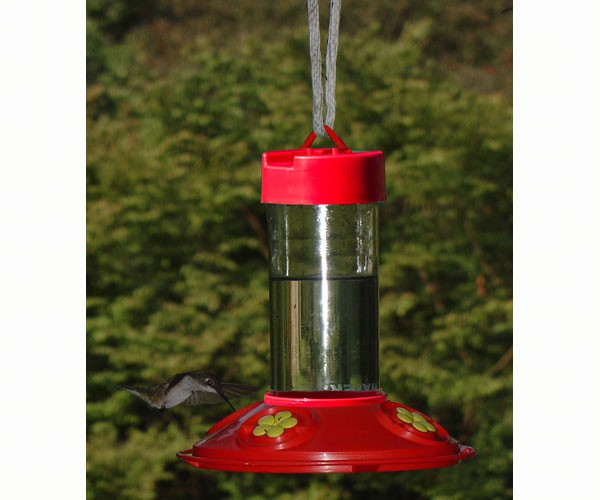 Dr. JB's 16 oz Clean Feeder