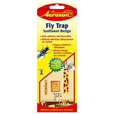 Fly Trap w/ Sunflower Design, 2-PK