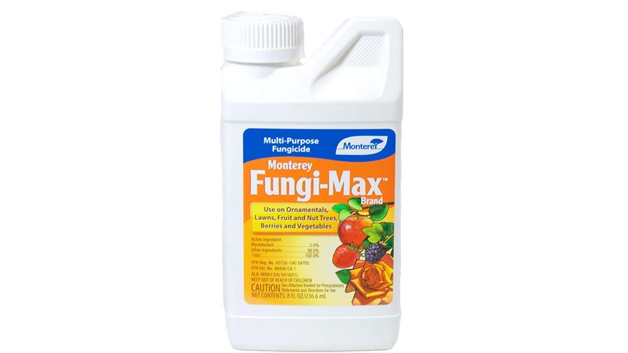 all purpose fungicide for indoor plants Monterey Fungi-Max Multi Purpose Fungicide Concentrate, 8 Ounces