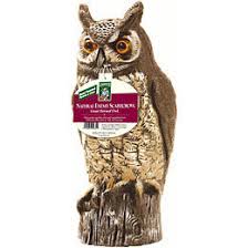 Gardeneer Great Horned Owl