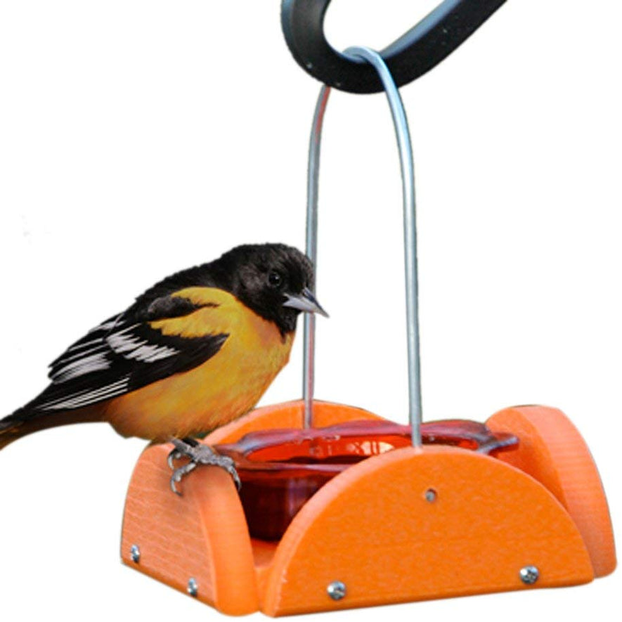 Going Green Oriole Feeder