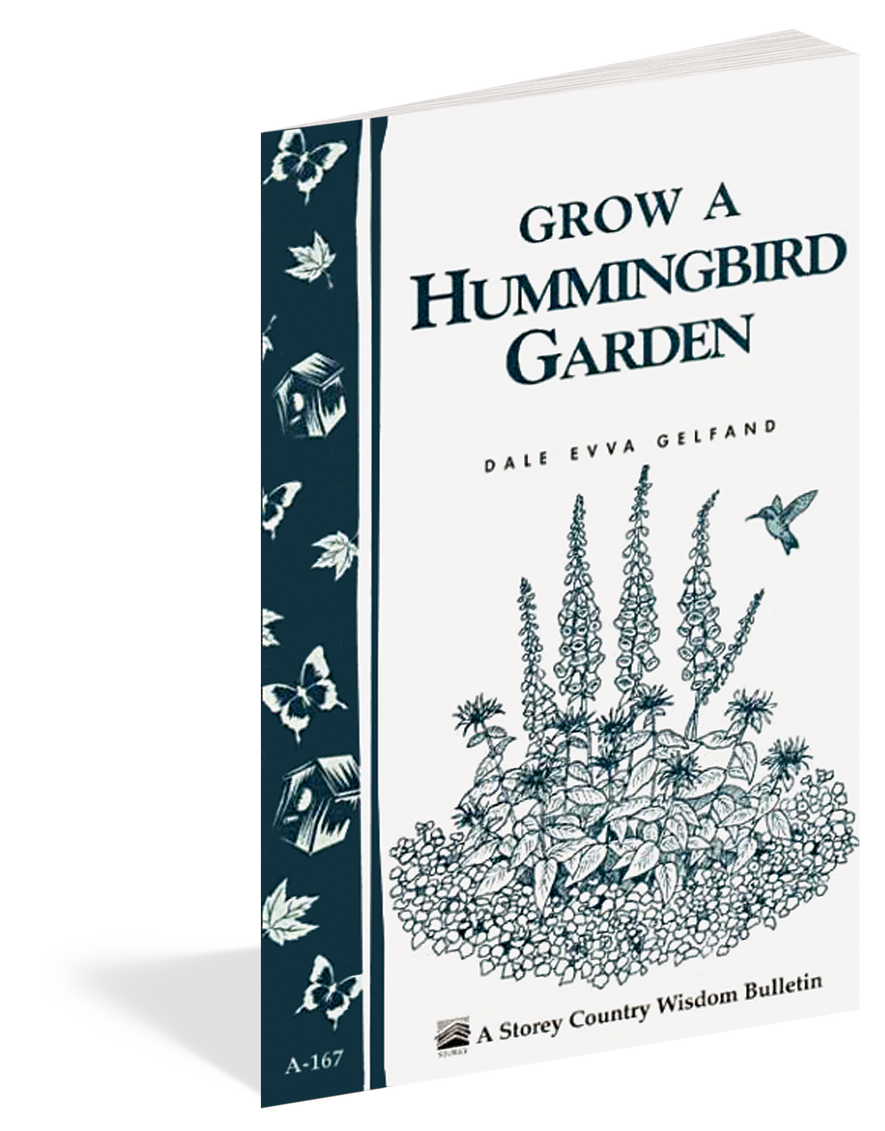 Grow a Hummingbird Garden