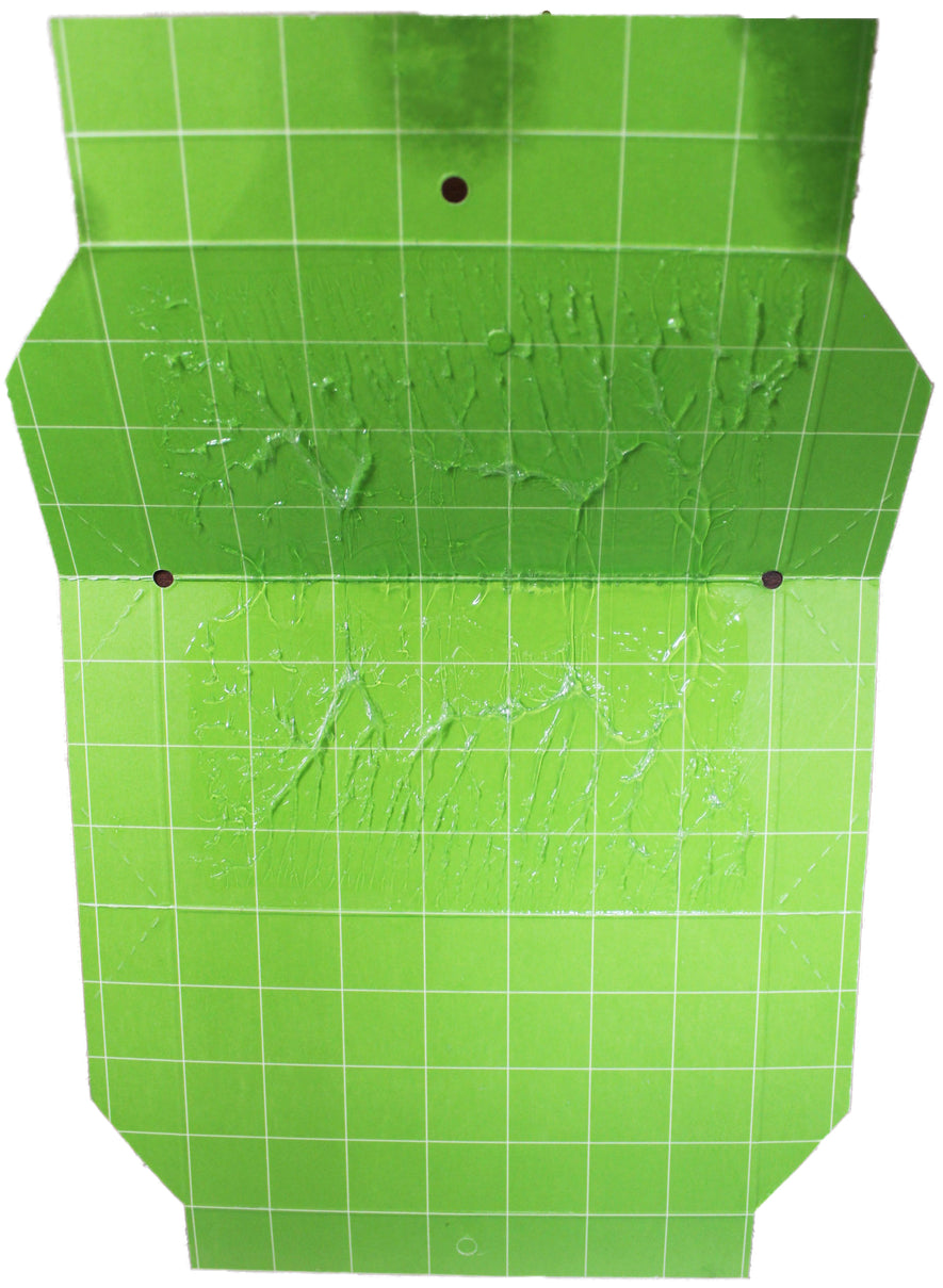 TreeHelp Spongy (Gypsy) Moth Trap with Lure (For Single Season)