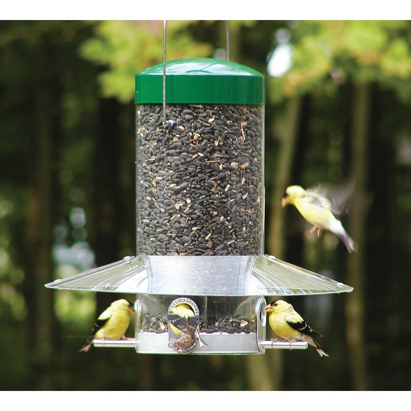 Hanging 12 Inch Classic Feeder w/Baffle
