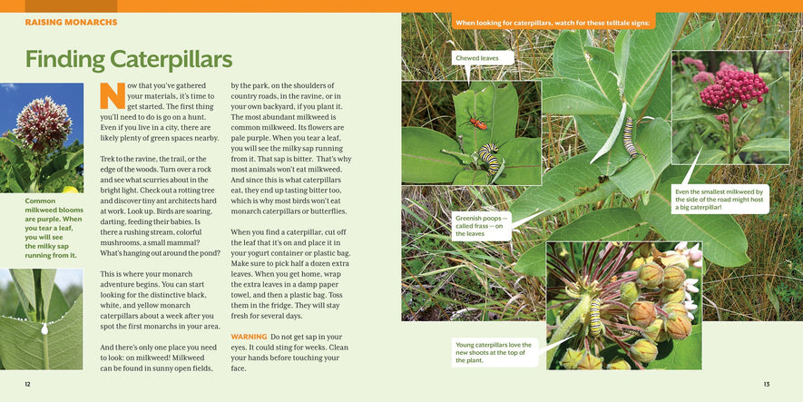 How to Raise Monarch Butterflies: A Step-by-Step Guide for Kids