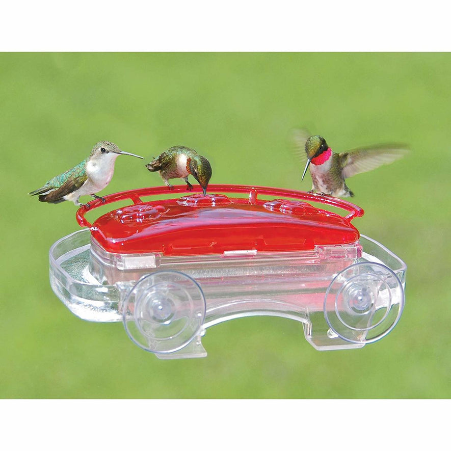 Jewel Box Window Hummingbird Feeder, 8-Ounce