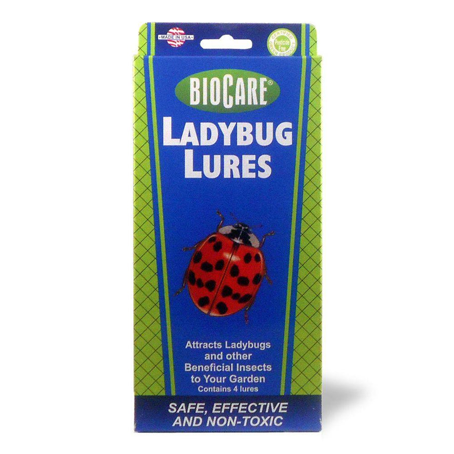 Ladybug  Lures, 4-Pack