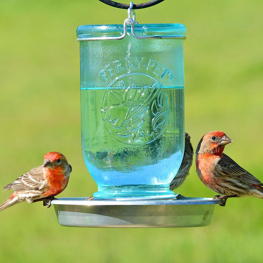 Mason Jar Wild Bird Waterer