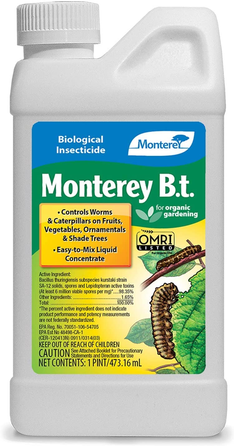 Monterey B.t., 1 Pint