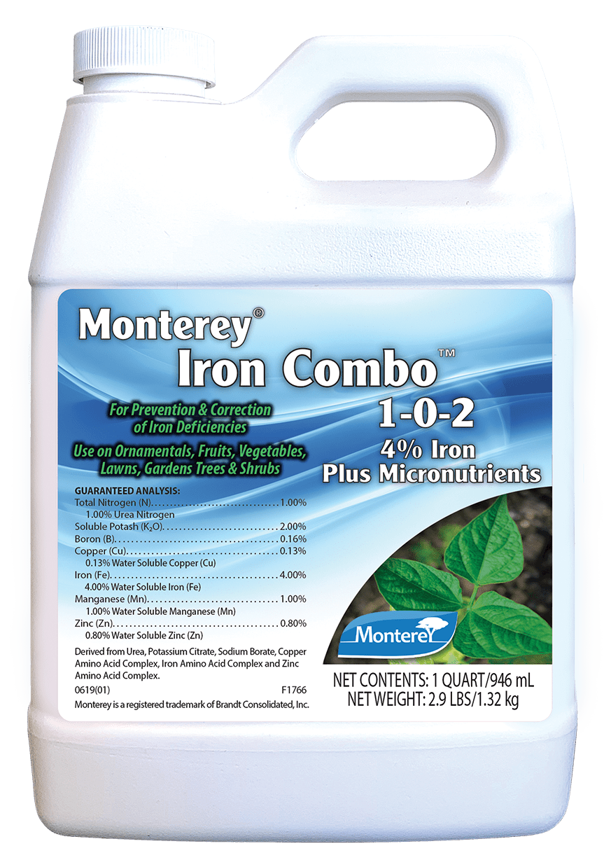 Monterey Iron Combo, 1qt