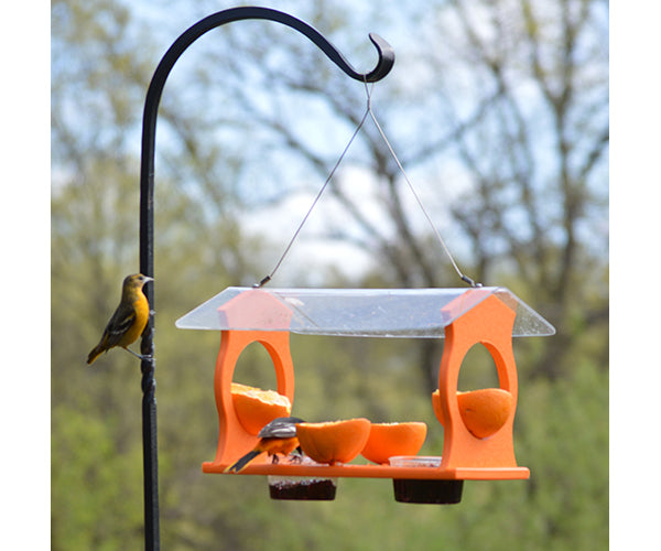 Oriole Diner Feeder