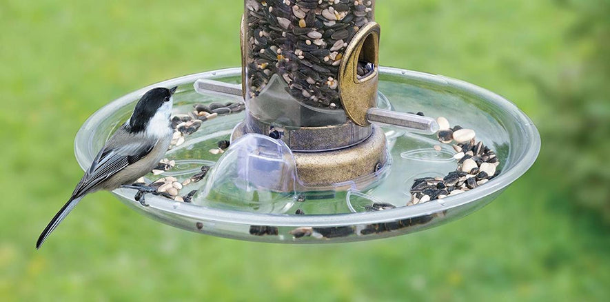 Quick-Clean Seed Tray