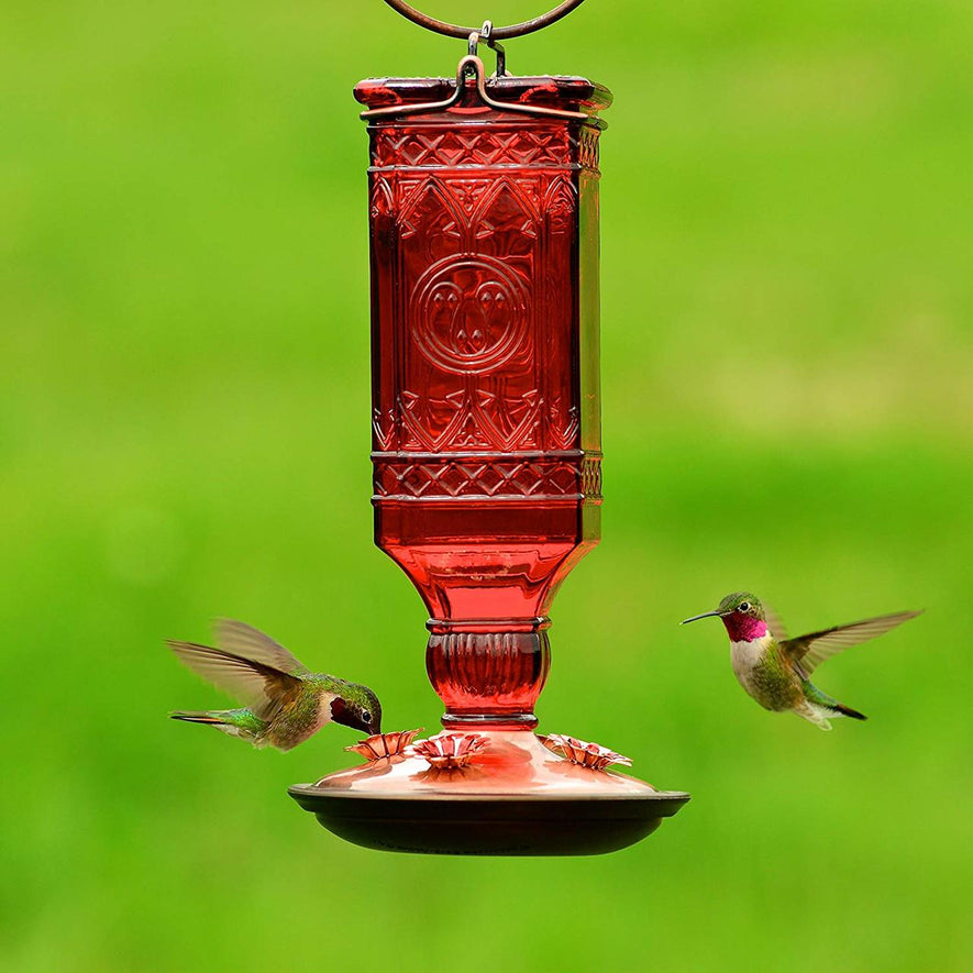 Red Square Antique Bottle Glass Hummingbird Feeder