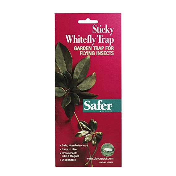Safer Brand Sticky Whitefly Traps