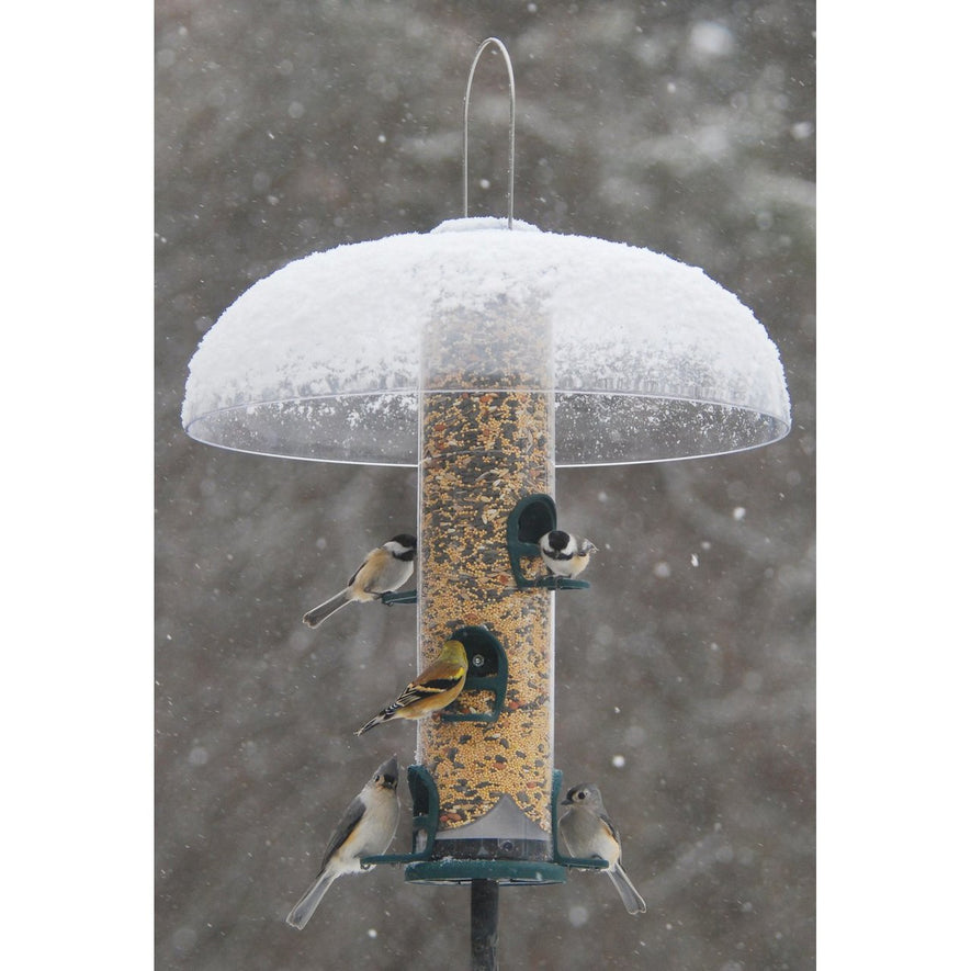 Spruce Quick Clean Big Tube Feeder, Large