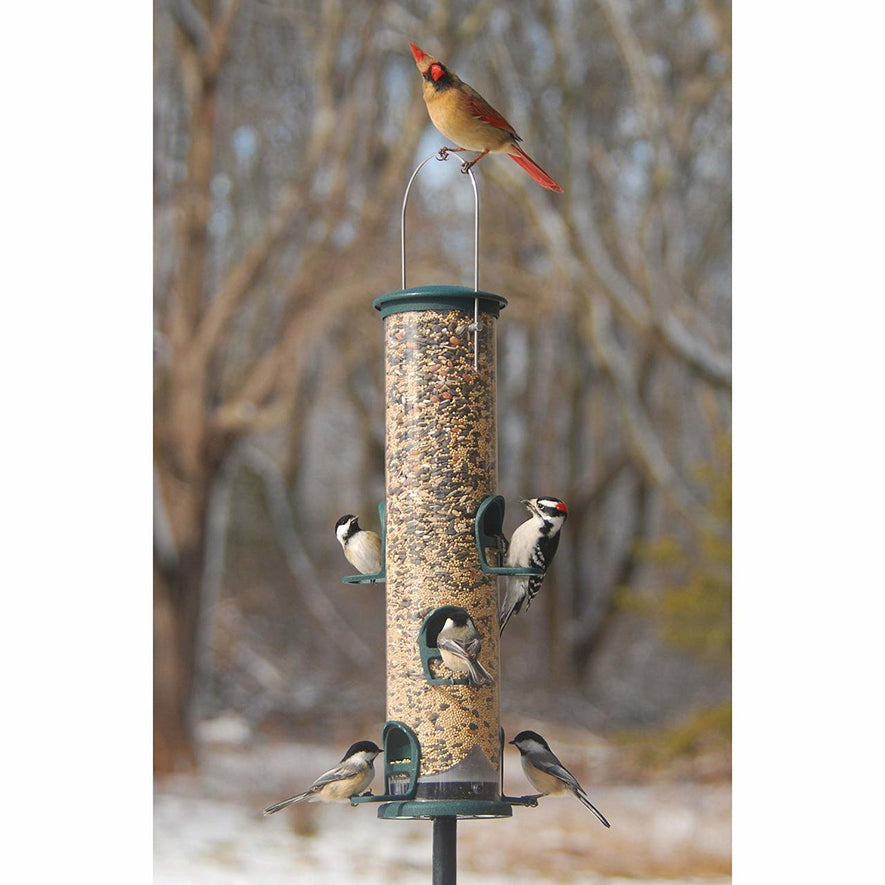 Spruce Quick Clean Big Tube Feeder, Large