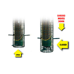 Squirrel Buster Squirrel Proof Finch Feeder