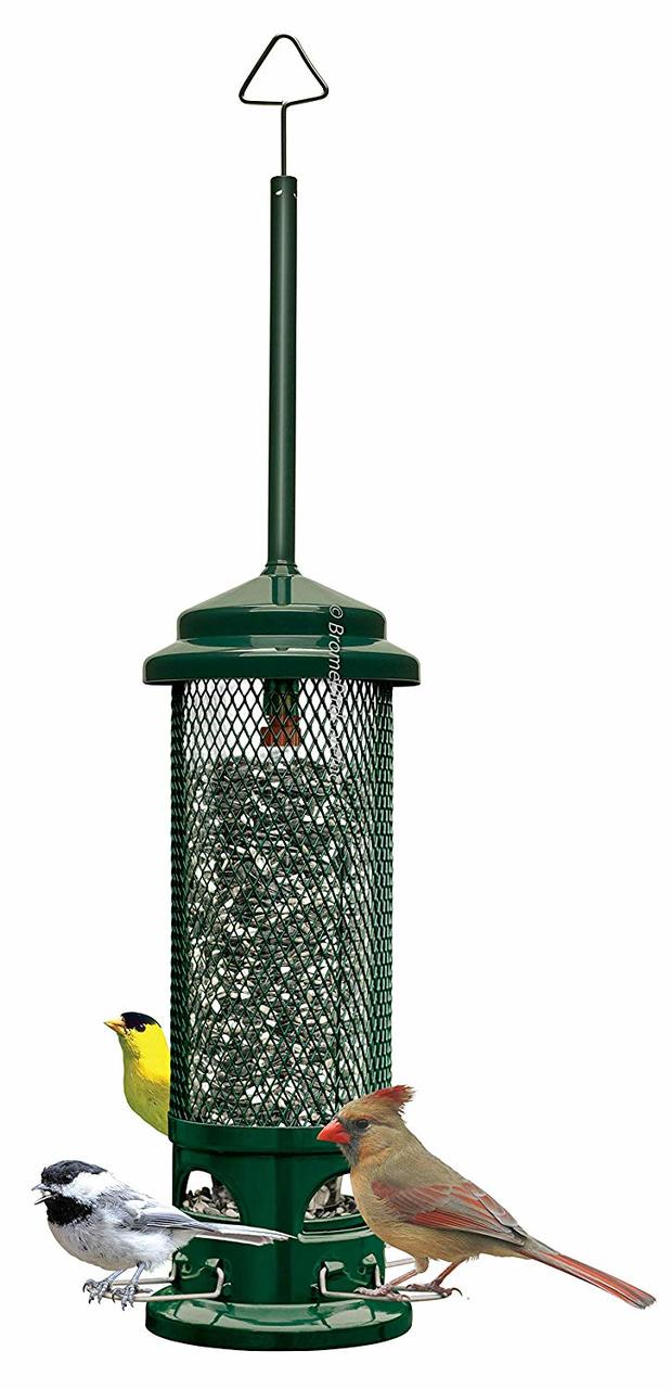 Squirrel Buster Legacy Wild Bird Feeder