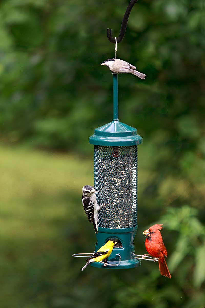 Squirrel Buster Legacy Wild Bird Feeder