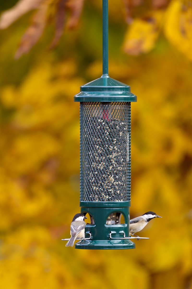 Squirrel Buster Legacy Wild Bird Feeder