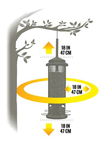 Squirrel Buster Legacy Wild Bird Feeder