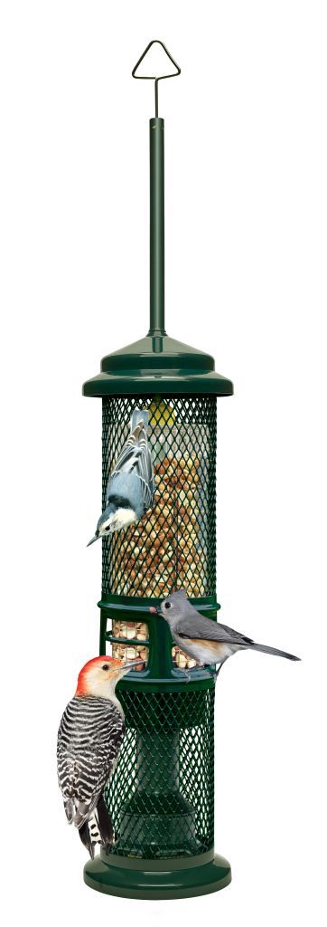 Squirrel Buster Nut Feeder