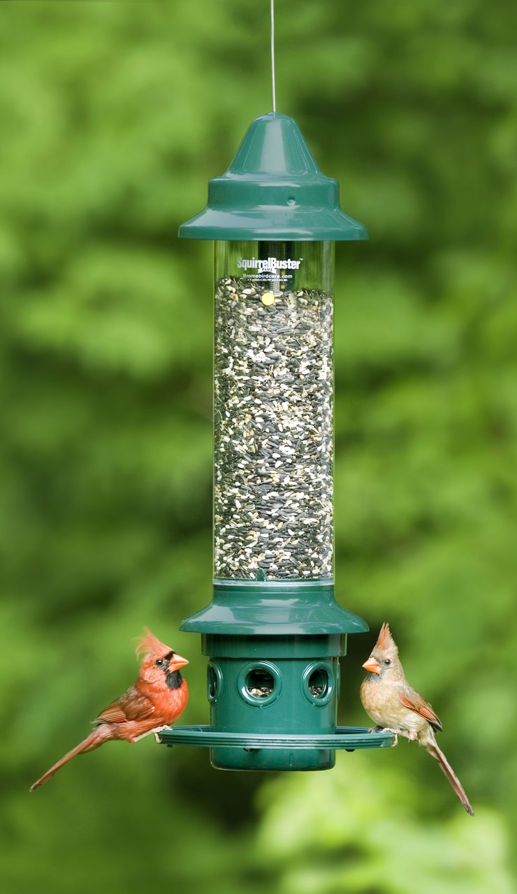 Squirrel Buster Plus Bird Feeder