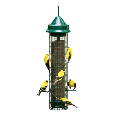 Squirrel Buster Squirrel Proof Finch Feeder