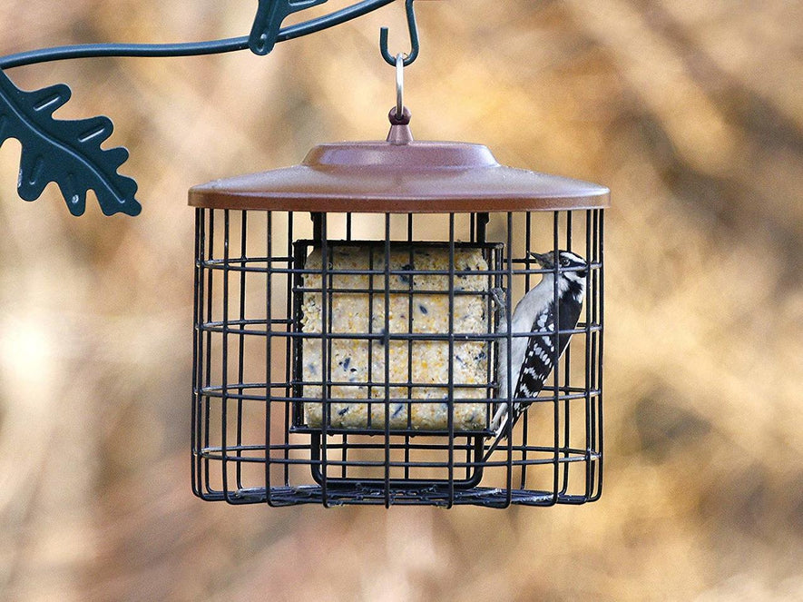 Stokes Squirrel Proof Double Suet Feeder