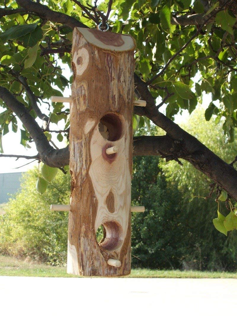 Suet Log With Perches