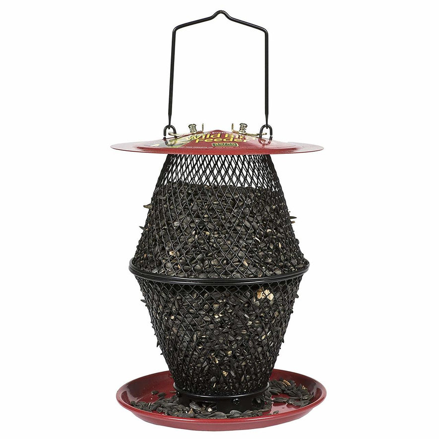 Sunflower Lantern Wild Bird Feeder