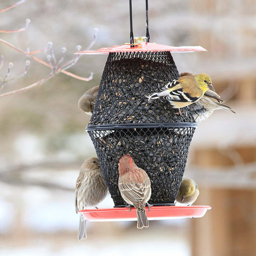 Sunflower Lantern Wild Bird Feeder