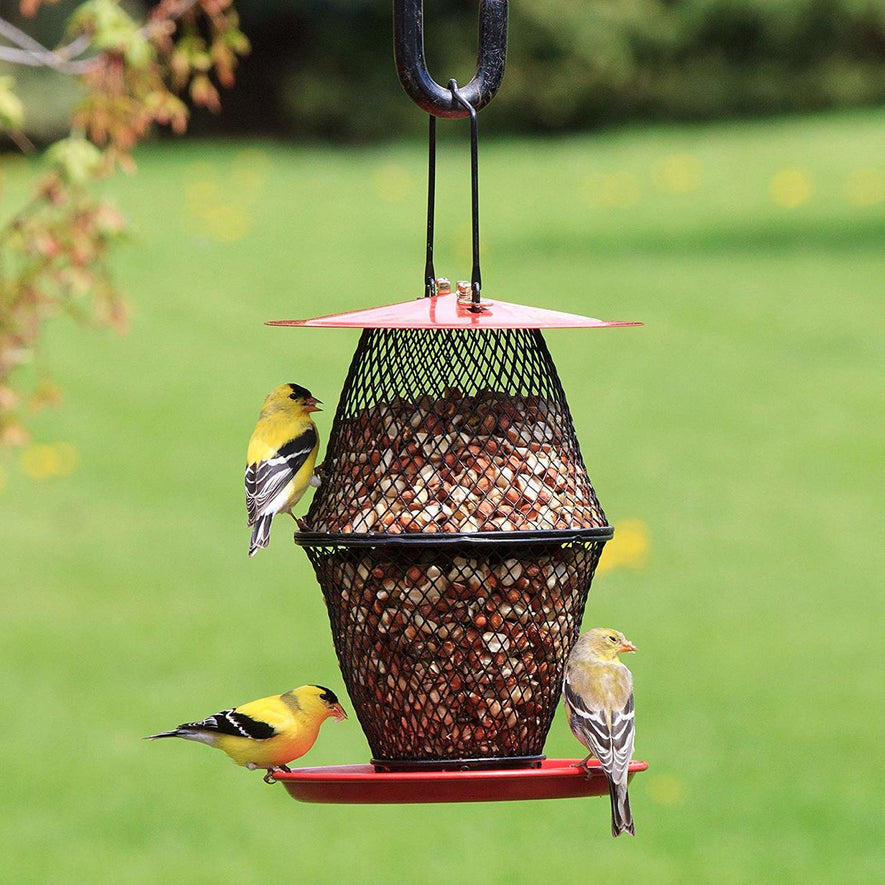 Sunflower Lantern Wild Bird Feeder