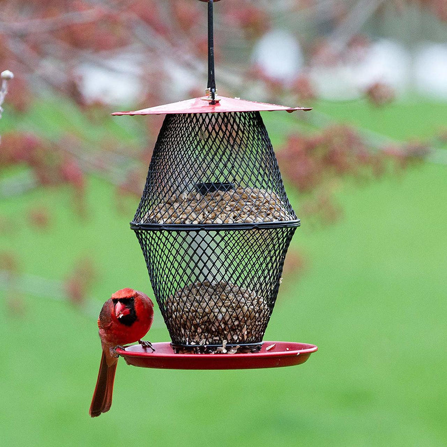 Sunflower Lantern Wild Bird Feeder