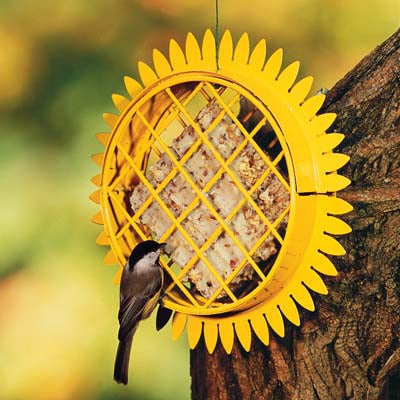 Sunflower Suet Bird Feeder With Hanger