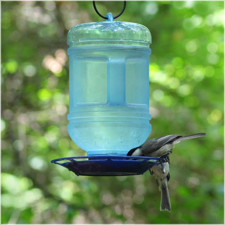 Water Cooler Bird Waterer