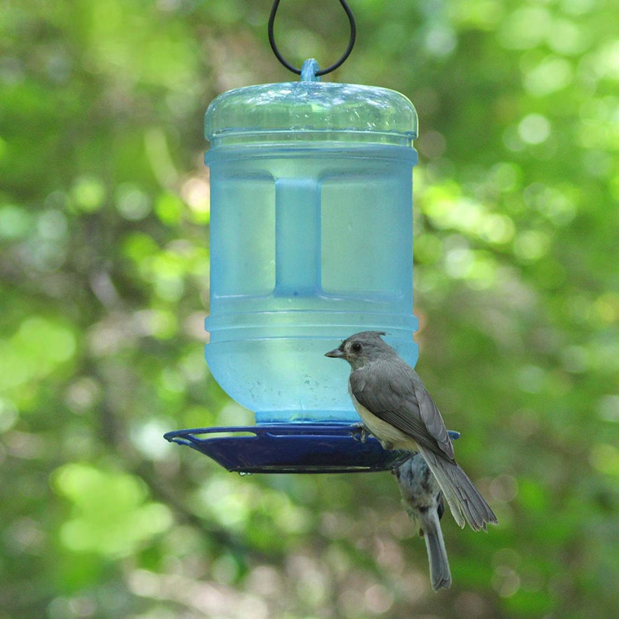 Water Cooler Bird Waterer