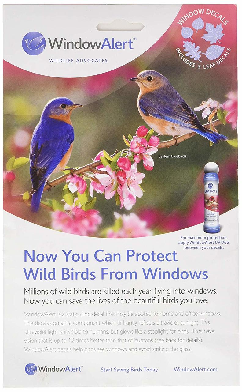 Buy Window Alert Leaf Medley Decals Online in USA, Window Alert Leaf