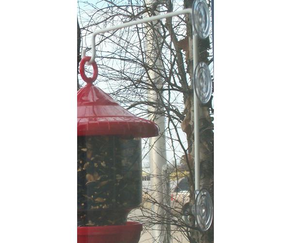 Window Suction Cup Hanger